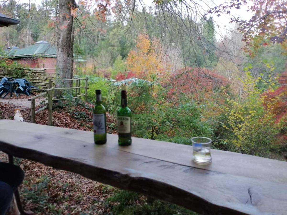 Villa Maple Grove Hogsback Esterno foto