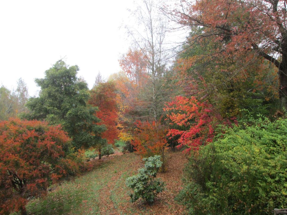 Villa Maple Grove Hogsback Esterno foto