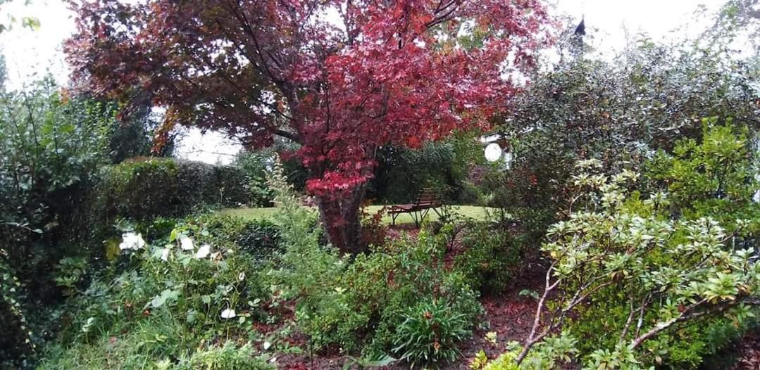 Villa Maple Grove Hogsback Esterno foto