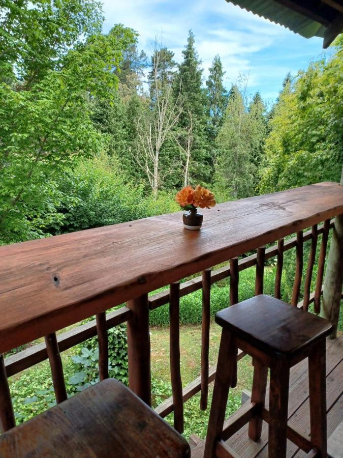 Villa Maple Grove Hogsback Esterno foto