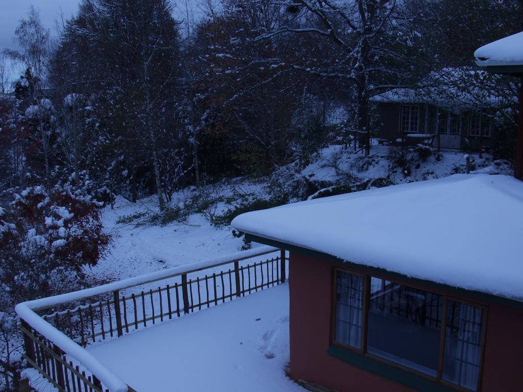 Villa Maple Grove Hogsback Camera foto