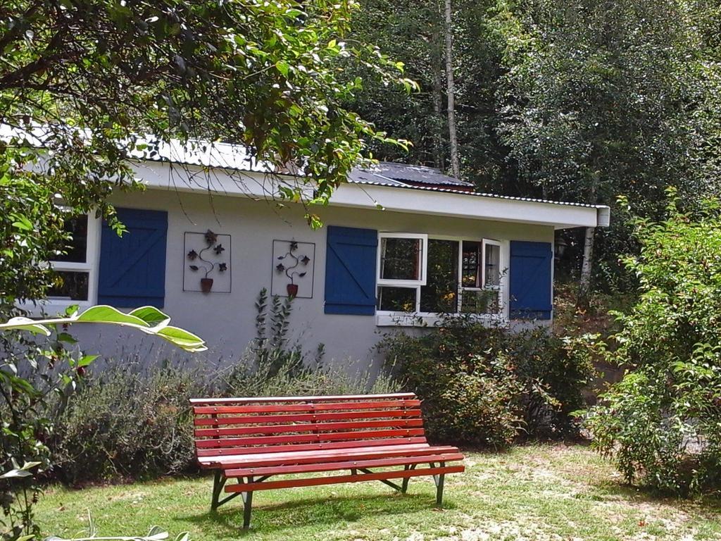 Villa Maple Grove Hogsback Esterno foto