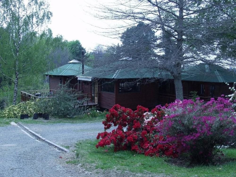 Villa Maple Grove Hogsback Esterno foto