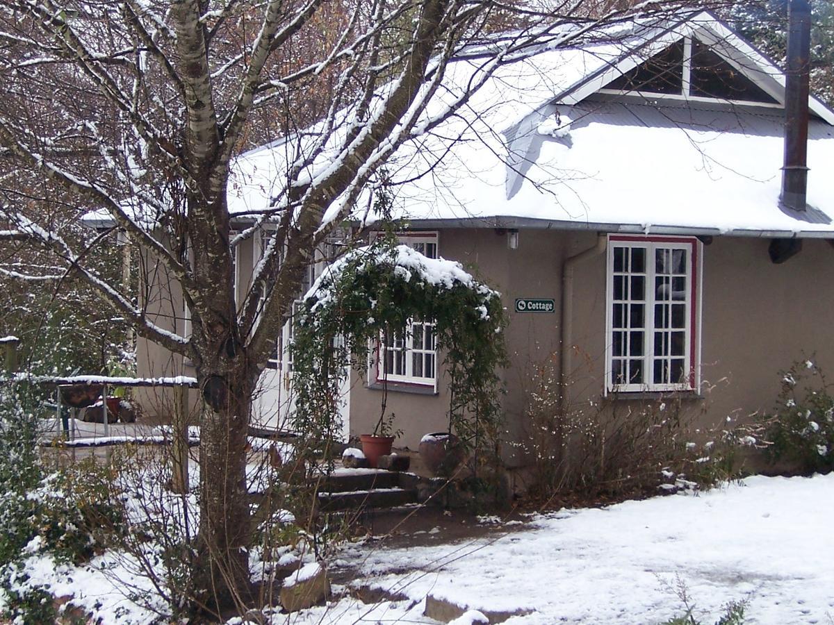 Villa Maple Grove Hogsback Esterno foto