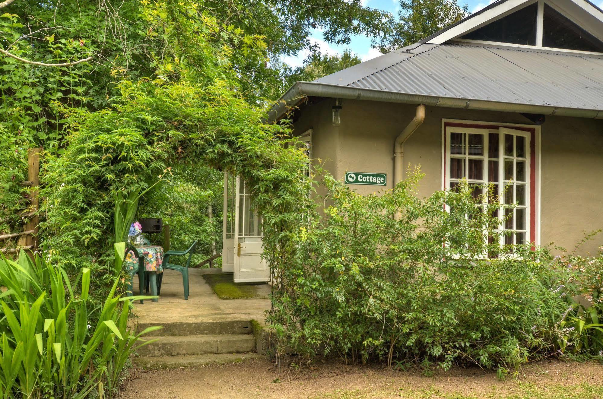 Villa Maple Grove Hogsback Esterno foto