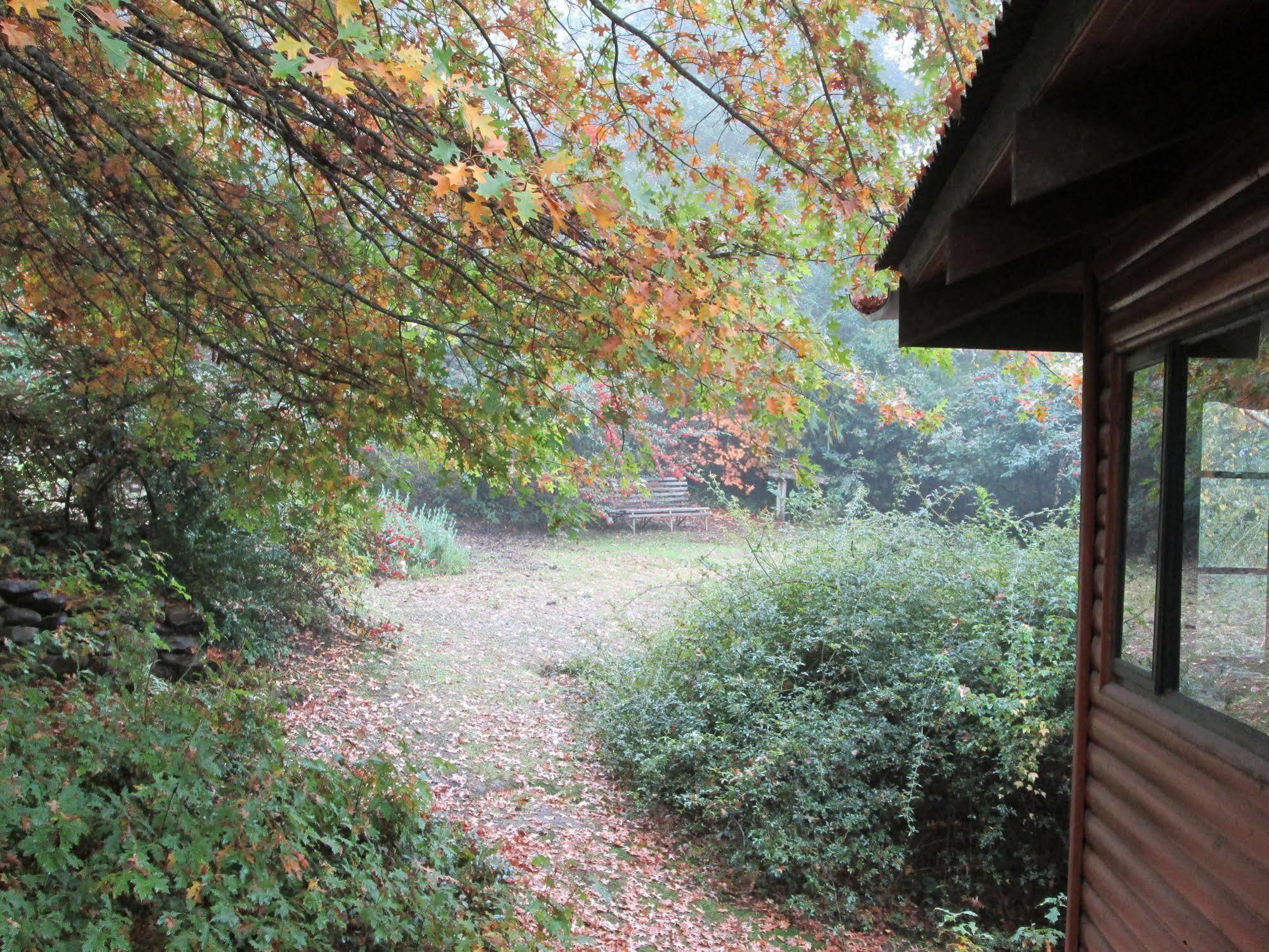 Villa Maple Grove Hogsback Esterno foto