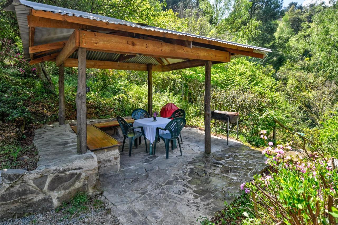 Villa Maple Grove Hogsback Esterno foto