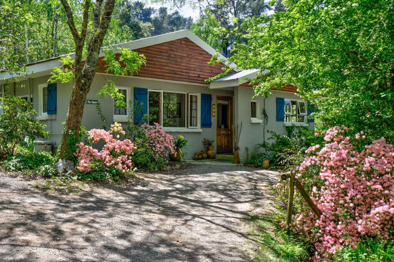 Villa Maple Grove Hogsback Esterno foto