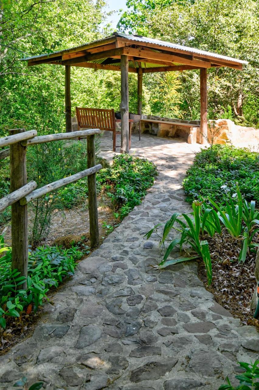 Villa Maple Grove Hogsback Esterno foto