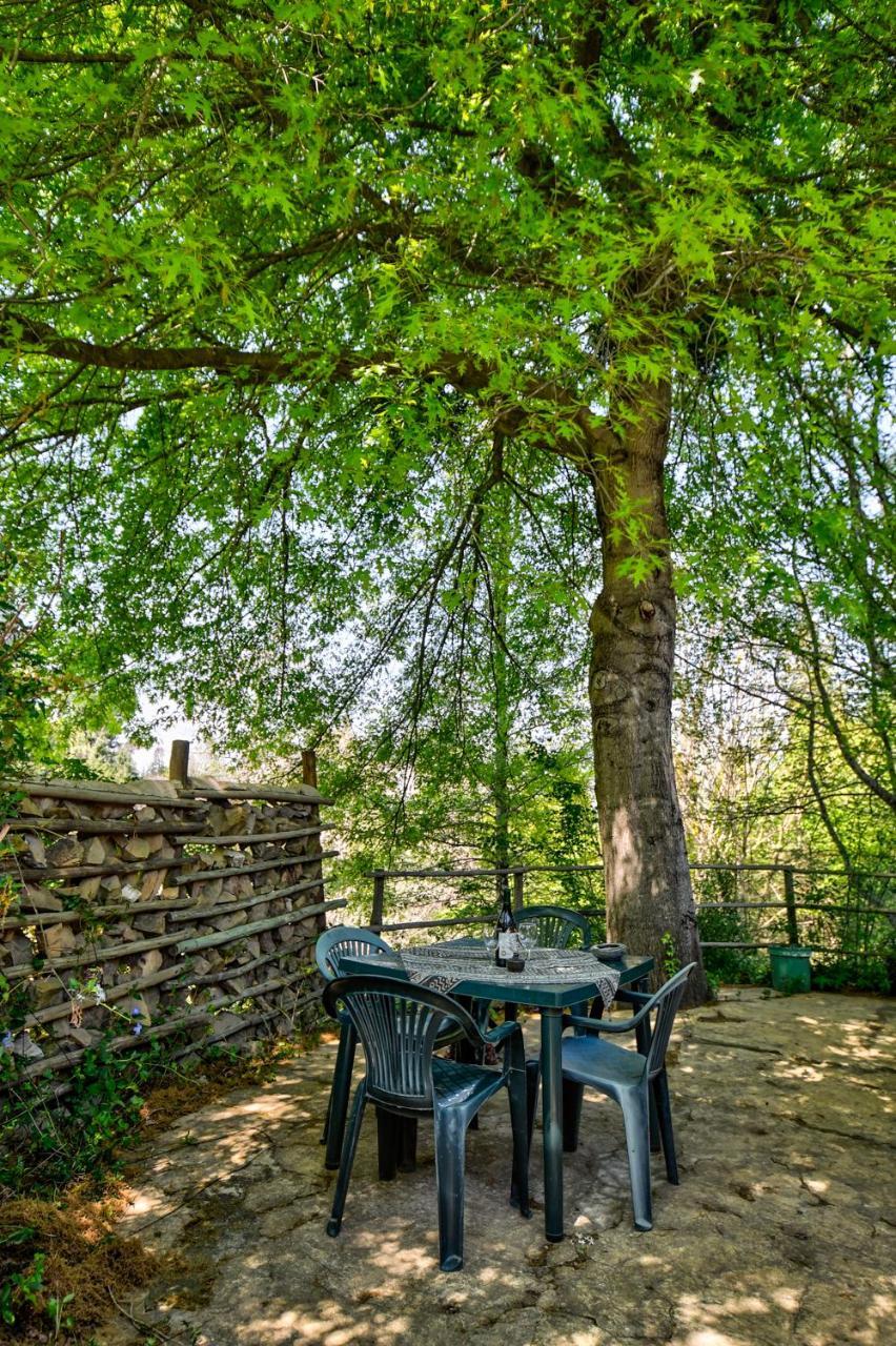 Villa Maple Grove Hogsback Esterno foto