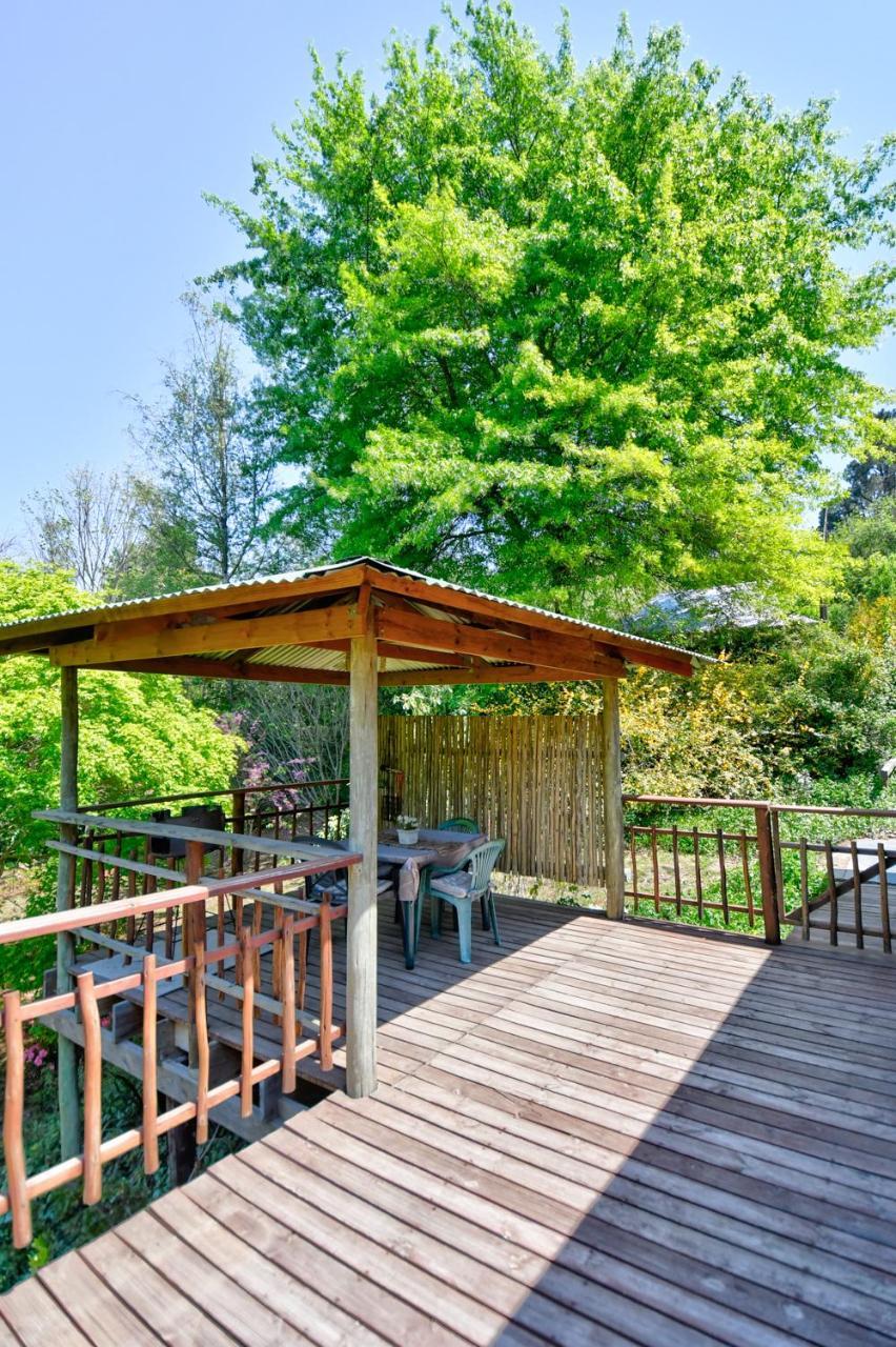 Villa Maple Grove Hogsback Esterno foto